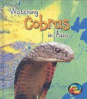 Watching Cobras in Asia