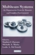 Multiteam Systems