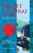 Secret Samurai Trilogy: Book Two, Snakes of Desire