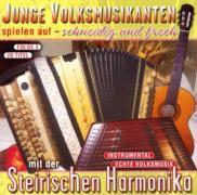 Junge Volksmusikanten spielen