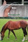 Only Horses from Wild