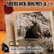Sherlock Holmes & Co 26: Der Schrei der Banshee (Teil 1)