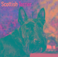 Scottish Terrier Calendar 2017
