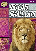 Rapid Reading: Big Cats Small Cats (Stage 1, Level 1A)