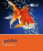 Goldfish - Pet Friendly