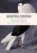 Beautiful Pigeons Journal