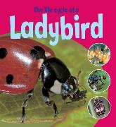 Learning About Life Cycles: The Life Cycle of a Ladybird