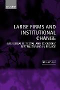 Large Firms and Institutional Change: Industrial Renewal and Economic Restructuring in France