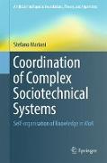 Coordination of Complex Sociotechnical Systems