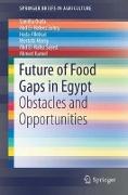 Future of Food Gaps in Egypt