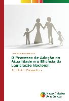 O Processo de Adoção na Atualidade e a Eficácia da Legislação Nacional