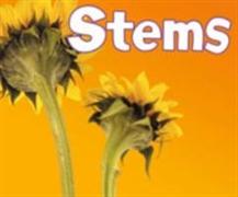 Stems