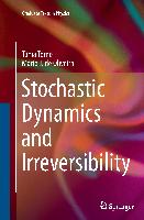 Stochastic Dynamics and Irreversibility