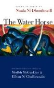 The Water Horse