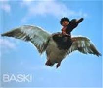 Baski 02. Baski's Flug mit der Wildente