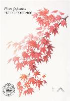 Flora Japonica: Postcard Book
