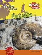 Fossils