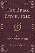 The Briar Patch, 1910 (Classic Reprint)