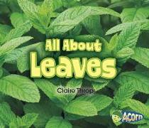 All about Leaves