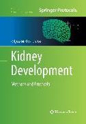 Kidney Development