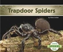 Trapdoor Spiders