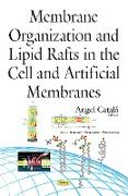 Membrane Organization & Lipid Rafts in the Cell & Artificial Membranes