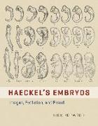 HAECKEL'S EMBRYOS - IMAGES, EVOLUTION, AND FRAUD