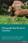 CHESAPEAKE BAY RETRIEVER ACTIV