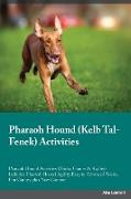 PHARAOH HOUND KELB TAL-FENEK A