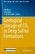 Geological Storage of CO2 in Deep Saline Formations