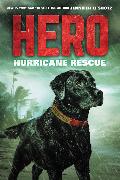 Hero: Hurricane Rescue