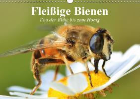 Fleißige Bienen. Von der Blüte bis zum Honig (Wandkalender 2017 DIN A3 quer)