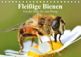 Fleißige Bienen. Von der Blüte bis zum Honig (Tischkalender 2017 DIN A5 quer)