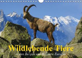 Wildlebende Tiere in den Bergen und Wäldern Europas (Wandkalender 2017 DIN A4 quer)