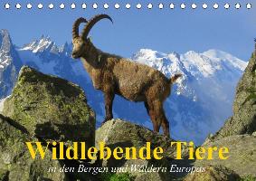 Wildlebende Tiere in den Bergen und Wäldern Europas (Tischkalender 2017 DIN A5 quer)