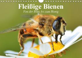 Fleißige Bienen. Von der Blüte bis zum Honig (Wandkalender 2017 DIN A4 quer)
