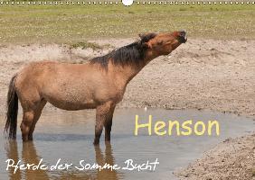 Henson - Pferde der Somme Bucht (Wandkalender 2017 DIN A3 quer)