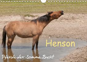 Henson - Pferde der Somme Bucht (Wandkalender 2017 DIN A4 quer)