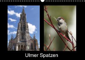 Ulmer Spatzen (Wandkalender 2017 DIN A3 quer)