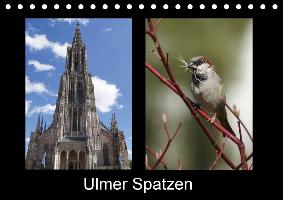 Ulmer Spatzen (Tischkalender 2017 DIN A5 quer)