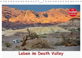 Leben im Death Valley (Wandkalender 2017 DIN A4 quer)