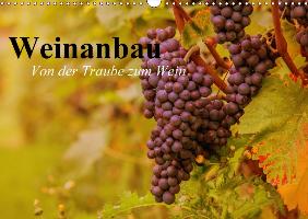 Weinanbau. Von der Traube zum Wein (Wandkalender 2017 DIN A3 quer)