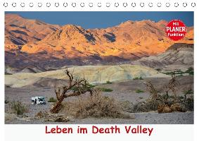 Leben im Death Valley (Tischkalender 2017 DIN A5 quer)