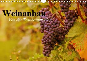 Weinanbau. Von der Traube zum Wein (Wandkalender 2017 DIN A4 quer)