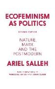 Ecofeminism as Politics