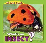 What's an Insect?