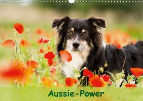 Aussie-Power (Wandkalender 2017 DIN A3 quer)