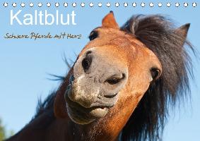 Kaltblut - schwere Pferde mit Herz (Tischkalender 2017 DIN A5 quer)