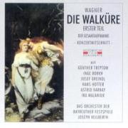 Die Walküre (Erster Teil)