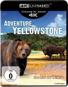 Adventure Yellowstone 4K